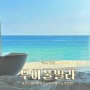 펜션무아 | 강릉 | 오션뷰 강릉펜션 무아풀빌라