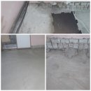 흥전초등학교 이미지