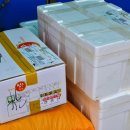 득량만건어물 이미지