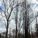 목천대로 | 천안 목천 독립기념관 카페 추천 카페 목천 솔직후기