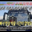 금화자동차공업사 이미지