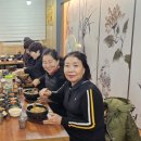 자담인 자연점