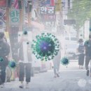 대전 6209 대전일보