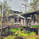 숲이그린집 이미지