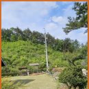 아르보르펜션 이미지