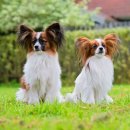 송도우리아이병원 이미지