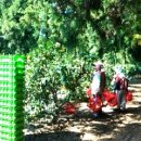 큰소낭 작은돌집 이미지