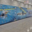 보성공공스포츠클럽