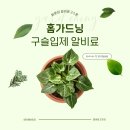 알앤와이