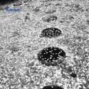 안다미로귀때박물관 이미지