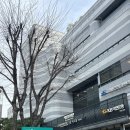 김미약선음식과폐백 | 26년도 상반기 4월 5월 상록아트홀 견적 식대 공유(계약O)