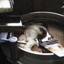 중앙기름집 이미지