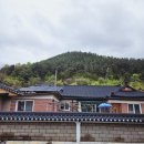 속리산둘레길 보은길2 | 2024.04.21 속리산 둘레길(보은길2구간) 말티재 넘는길.정이품송. 말티재 꼬부랑길