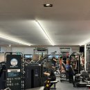 아나토미 스트랭스 이미지