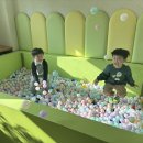 월평초등학교병설유치원 이미지