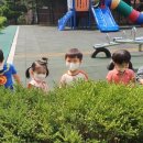 산새세탁 이미지