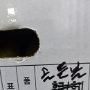 신품종 사과 골든볼. 이미지