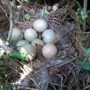 이혁농장 이미지