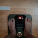 고릴라휘트니스 이미지