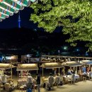 (야간)민화 이미지