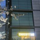 503 | 구디역 크로스핏 추천 🏋️ 크로스핏503 솔직 후기 (구로크로스핏 / 가산크로스핏)