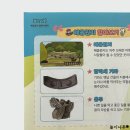 체험형교구재, 기관에 딱 맞는 박물관 구성주의 교육키트제작은 어디서?