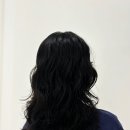 노트헤어