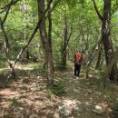 대천공원 입구 | [부산 해운대구] 장산 (대천공원~옥녀봉~중봉~정상~억새밭~대천공원)