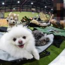 (유)동일약품 이미지