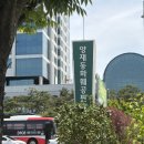 온실꽃집 | 양재 꽃 시장 일요일 방문 분화 온실 후기 및 주차 정보