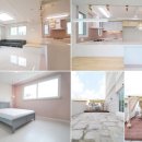 코쿠닝78 이미지