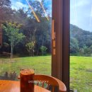 채선당(소사점) | 추석연휴 먹방일기 : 천왕산북카페, 채선당 샤브샤브 꽉 채운 일상!