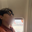 (주)로지스톤 | [다낭/✔️호이안] 올드타운 / 에코로지앤스파 / 포슈아 / 라플라주 / 소원배 등