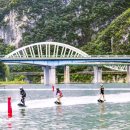 전동물병원 이미지