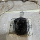 에코지오 | [순천 율산에코지오] 양변기 물이 안내려가요??