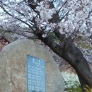 장승포체육공원 이미지