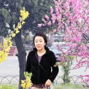 장미미용실 이미지