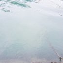 평산 작은미술관 이미지