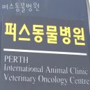 퍼스동물병원 이미지