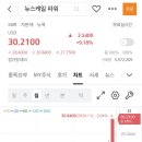 (주)톰볼라 이미지