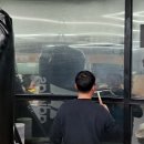 BMG 복싱 이미지