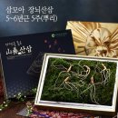 삼모아