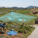 목숨 건 지뢰 탐지는 옛말… AI·첨단 로봇, DMZ 평화 개척자로 이미지