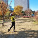 파크골프지도사 2급 양성과정 이미지