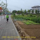 다문리 양묘사업소 이미지