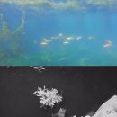 태식농장 이미지