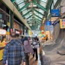 남대천강릉교밑 이미지