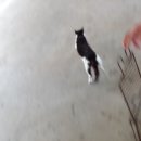 면천보건지소 이미지