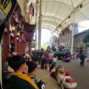 웜벳동물병원 이미지