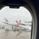 171 | 아이와 다낭여행, 티웨이 TW171 다낭여행 입국 후기